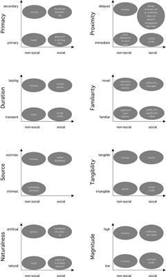 A Multidimensional View on Social and Non-Social Rewards